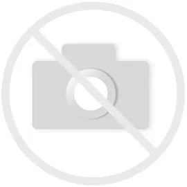 Holthaus FIXIERBINDE YPSIFIX 12CMX4M