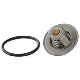 BorgWarner (Wahler) BORGWARNER Thermostat, Kühlmittel 3141.87D für VW