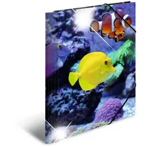 Herma Sammelmappe Tiere A4 fische