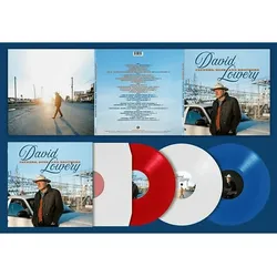 David Lowery - FATHERS, SONS AND BROTHERS (Vinyl)