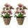Creativ deco Winterliche Kunstpflanze 28 cm lila