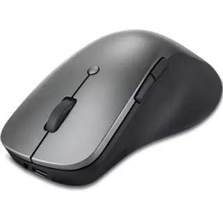 Lenovo Professional Maus Dunkelgrau