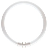 Philips Master TL5 Circular 22W/840 2GX13