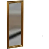 Moebel17 Spiegel Boos 30x90cm Gold