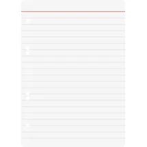 Brunnen Ringbuch DIN A5 100 Blatt Weiß