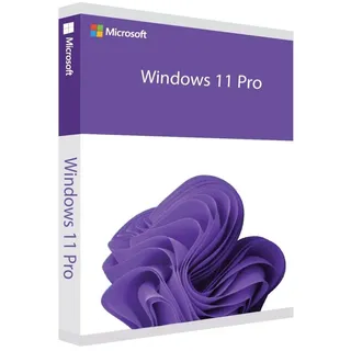 Windows 11 Pro FR