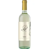Cantina Castelnuovo del Garda Soave 1958 Wine Experience