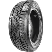 Dunlop Winter Sport 5 205/50 R17 93H XL
