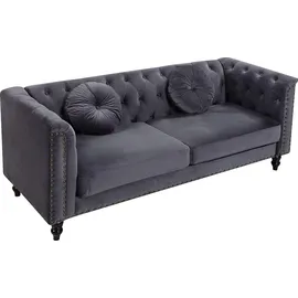 vente-unique 3-2 Garnitur Samt 5-Sitzer Silber