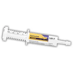 LAB-V CarboVet Foal - Formel für Blähungen bei Fohlen 20 ml