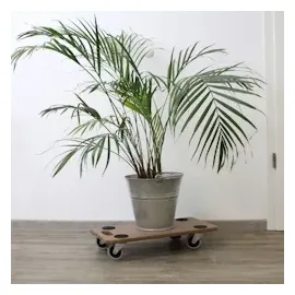 Baumarktplus 4er Set Transportroller SOFT WHEEL indoor MDF Platte 200 kg