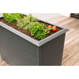 Westmann Primus M 100 x 50 x 77 cm Anthrazit