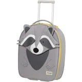 Cabin 45 cm / 23 l raccoon remy