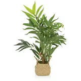 HJH Office Kunstpflanze CHAMAEDOREA 65 cm,