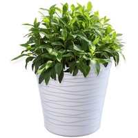 Kadax Blumentopf mit Untersetzer, Pflanzkübel für Innen, leichter 19cm,