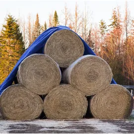 ECD Germany Abdeckplane 600 x 1000 cm Blau