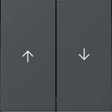 Gira Wippe 2fach mit Pfeilsymbol, anthrazit