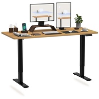 FLEXISPOT Schreibtisch EB2-SET, Höhenverstellbarer Schreibtisch, Dual-Motor & 2-FACH-TELESKOP schwarz 120 cm x 60 cm