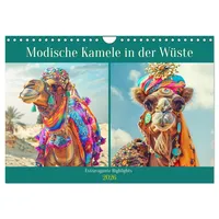 Calvendo Modische Kamele in der Wüste. Extravagante Highlights (Wandkalender