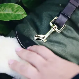 Kentucky Hundemantel Waterproof grün XXL