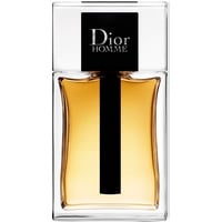 Dior Homme Et 100 Vp