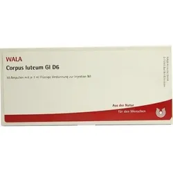 CORPUS LUTEUM GL D 6 Ampullen 10 ml