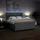 vidaXL Boxspringbett 180 x 200 cm Hellgrau