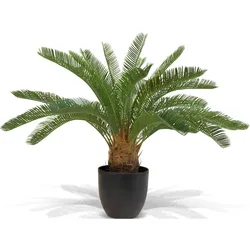 Japanischer Sagopalmfarn - cycas revoluta Kunstpflanze, 64 cm