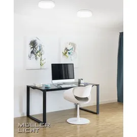 Müller-Licht Deckenleuchte (20500087)