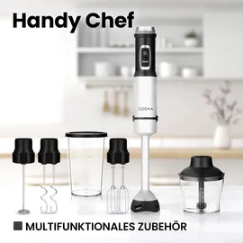 Zeegma 5 in 1 Stabmixer