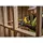 DeWalt DCS382N ohne Akku