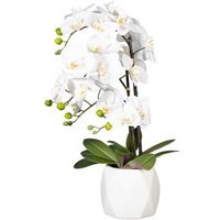 Creativ-green Kunstblume Orchidee, Phalaenopsis, weiß, im Keramik-Topf, Höhe 60 cm