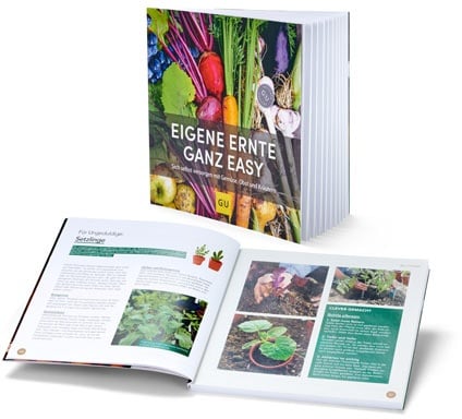 Buch »Eigene Ernte ganz easy«