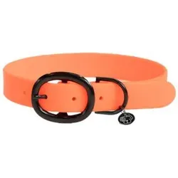 Hundehalsband aus Gummi Kentucky orange|hellorange|orangefarben fluoreszierend XL