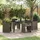 vidaXL 5-teiliges Garten-Ess-Set mit Kissen Grau Poly-Rattan