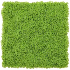 Wellhome – Künstlicher Vertikalgarten – Heckenpanel 100x100 cm, für Innen- und Außenbereich – Grün