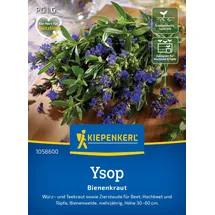 Kiepenkerl Ysopsamen Bienenkraut 1058600 - Würz- und Teekraut sowie Zierstaude für Beet und Töpfe sowie als Bienenweide - Pflanzen Samen, Saatgut, Kräutersamen