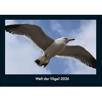 Vero Kalender Welt der Vögel 2026 Fotokalender DIN A4