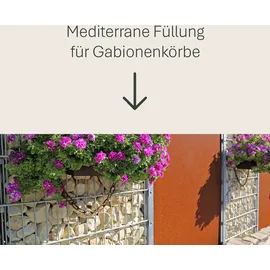 Schicker Mineral Kalk Gabionensteine 60-120 mm