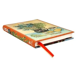 paperblanks ltd. 12-Monatskalender Van Goghs Stillleben Midi Horizontal 2027 Buch