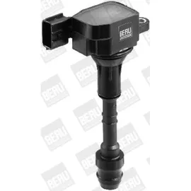 BorgWarner (Beru) BERU Zündspule ZSE079