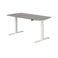 Paidi Kinderschreibtisch E-Lion Grau