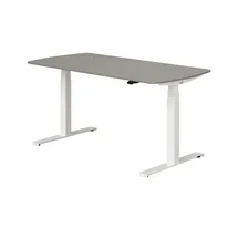 Paidi Kinderschreibtisch E-Lion Grau