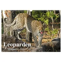 Calvendo Leoparden. Elegante Jäger (Wandkalender 2026 DIN A3 quer),