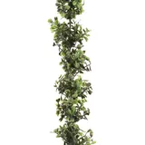Gasper Unbekannt Buchsbaumgirlande ca 150 cm. Buchs - Girlande, Ranke.