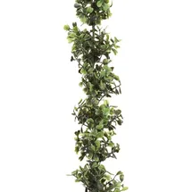 Gasper Unbekannt Buchsbaumgirlande ca 150 cm. Buchs - Girlande, Ranke.