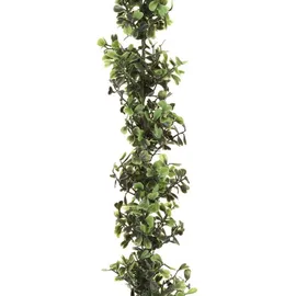 Gasper Unbekannt Buchsbaumgirlande ca 150 cm. Buchs - Girlande, Ranke.