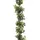 Gasper Unbekannt Buchsbaumgirlande ca 150 cm. Buchs - Girlande, Ranke.