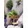 Dobar Hochbeet 76 x 40 x 80 cm Braun