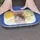 Livington Flex & Fresh Frischhalteplatten 2er-Set - Aufschnittbox Kühlschrank